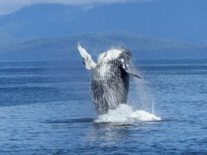 alaska1